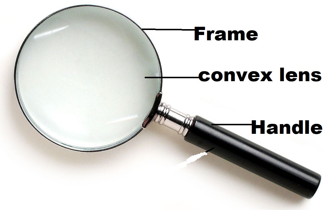 The Magnifying lens  Introduction to classification