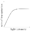 light intensity 