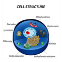 Cell biology