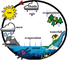 water cycle