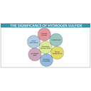 characteristics of Hydrogen sulphide