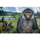 photo of Ramapithecus